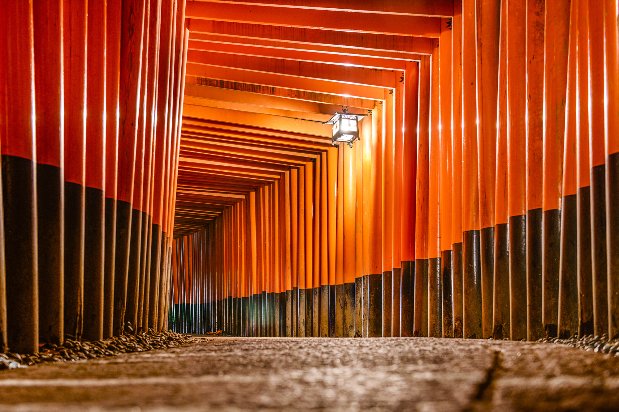 Fushimi Inari