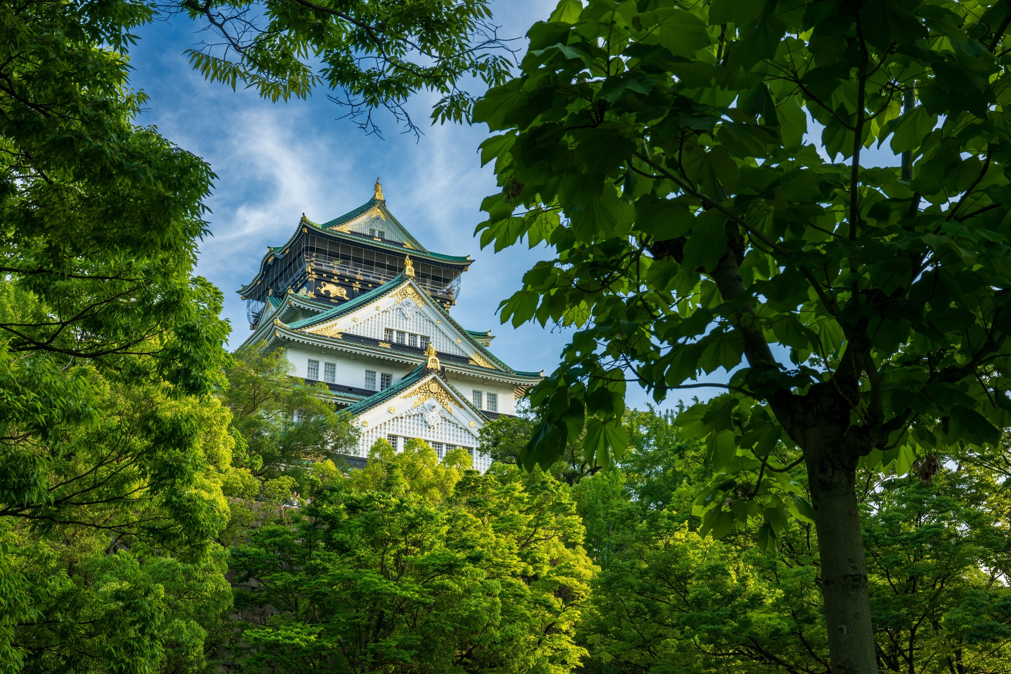 Osaka Castle